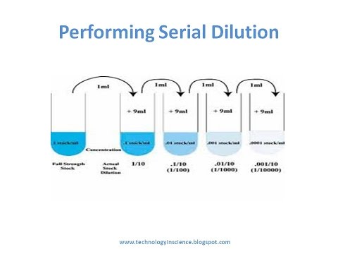Parallel dilution sets